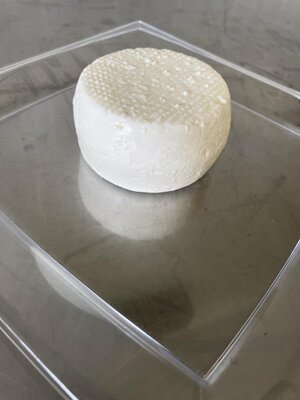 Fromage frais de brebis