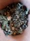 Tisane sérénité des sommets - image 2