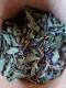 Tisane lever de soleil dans les alpes - image 2