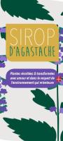 Sirop d'agastache