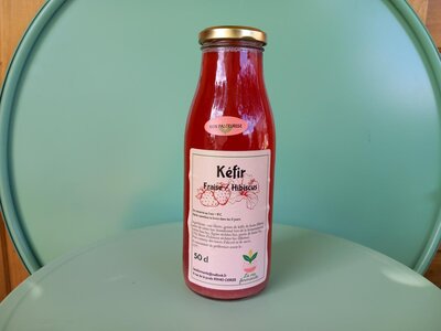 Kéfir de fruits fraise / hibiscus