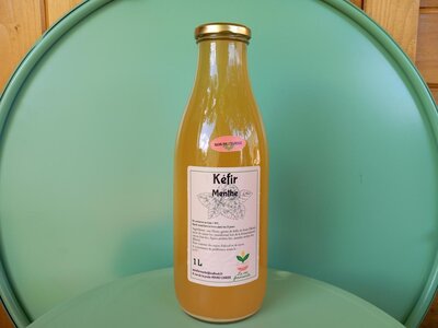 Kéfir de fruits menthe