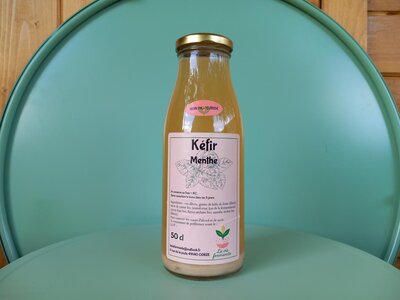 Kéfir de fruits menthe