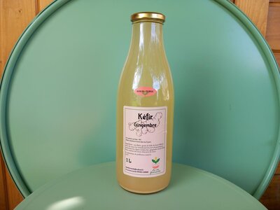 Kéfir de fruits gingembre