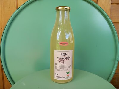Kéfir de fruits clous de girofle