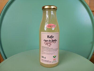 Kéfir de fruits clous de girofle
