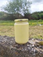 Miel toutes fleurs cristallisé