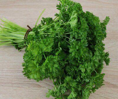 Bouquet de persil