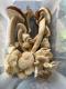 Pleurote coréen / pleurotus spodoleucus - image 2