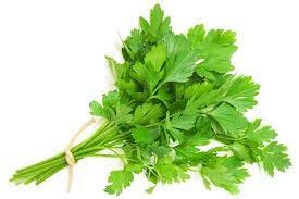 Persil frisé (bouquet)