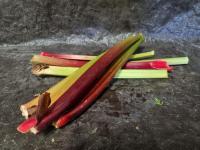 Rhubarbe