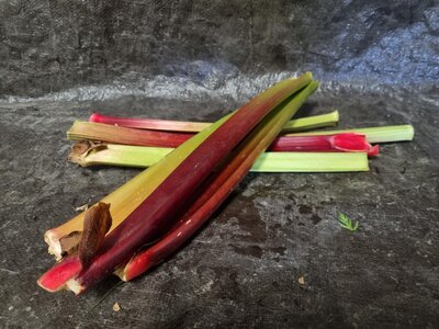 Rhubarbe
