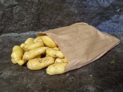 Pomme de terre ratte