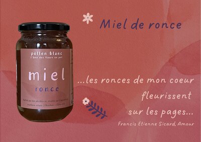 Miel de ronce - 500g