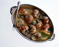 Escargots courbouillonnés