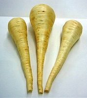 Panais carotte - lactofermenté