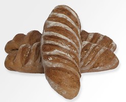 Précuit grand épeautre