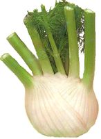 Fenouil citron - lactofermenté