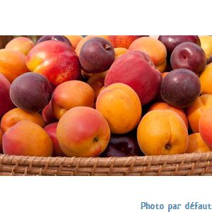 Compote 95% abricot coing