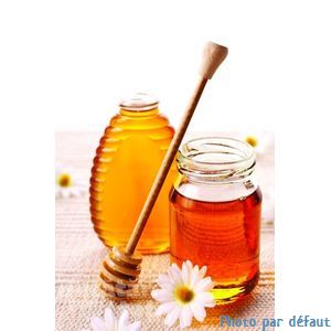 Miel de forêt