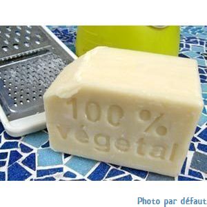 Lessive végétale en 1 litre