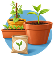 Catégorie Plants, graines