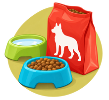 Catégorie Animaux