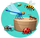 insectes