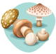 Champignons