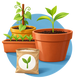 Plants, graines